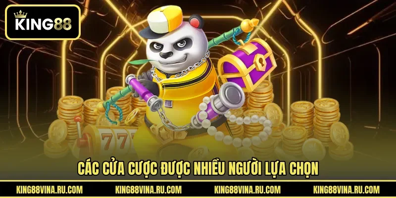 Các cửa cược được nhiều người lựa chọn